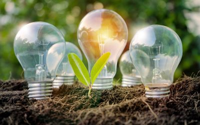 Energía, consumo y acción