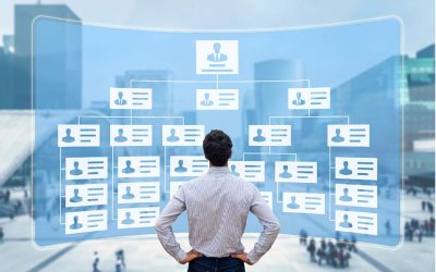 Estructura Organizacional – Comienzos: Decisión No.4