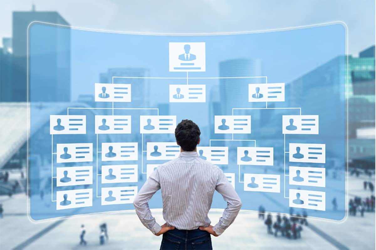 Estructura Organizacional – Comienzos: Decisión No.4