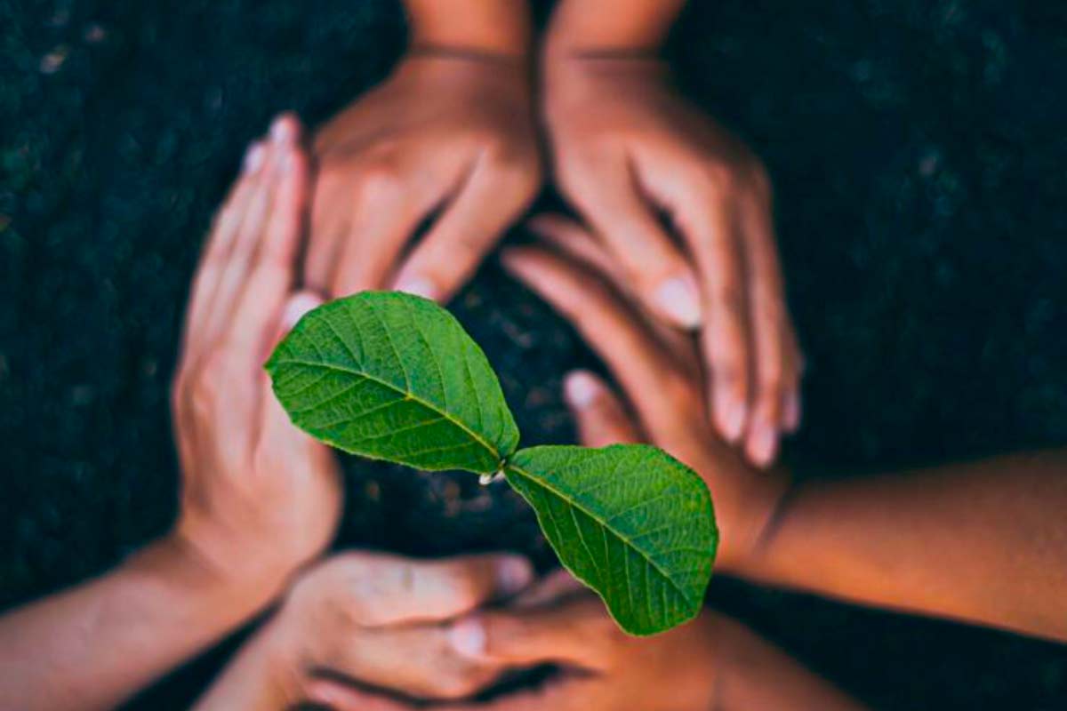 Restauración Ecológica: Responsabilidad Ambiental Empresarial