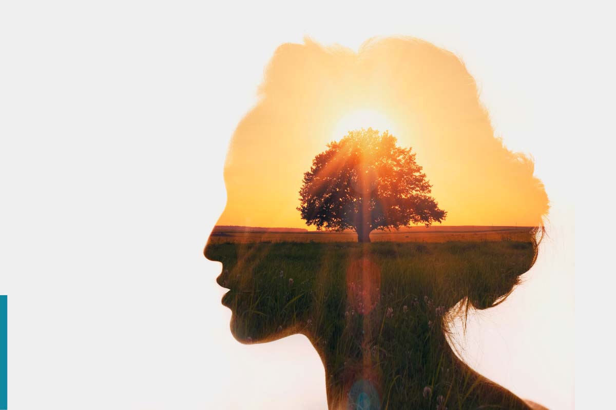 Salud Mental y gestión emocional para la comunidad: Aporte Empresarial